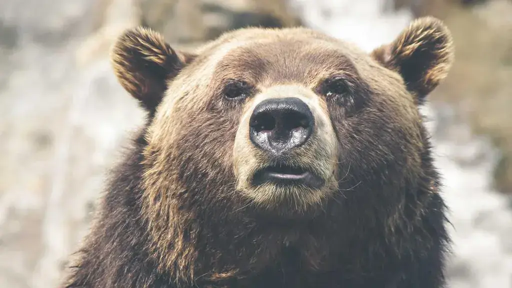 Crypto Legislation Faces Uphill Battle as Key Officials Depart